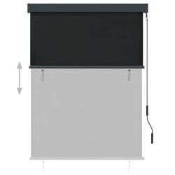 Store roulant d'extérieur 120 x 250 cm Anthracite 