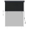 Store roulant d'extérieur 120 x 250 cm Anthracite 