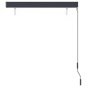 Store roulant d'extérieur 120 x 250 cm Anthracite 