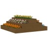 Jardinière Marron miel 80x80x27 cm Bois massif de pin 