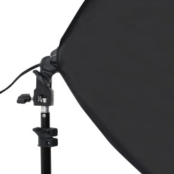 Kit de studio photo avec boîtes à lumière et toile de fond 