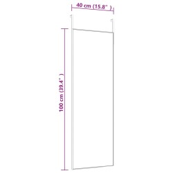 Miroir de porte Doré 40x100 cm Verre et aluminium 