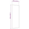 Miroir de porte Doré 40x100 cm Verre et aluminium 