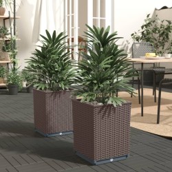 Jardinières 2 pcs marron 30x30x37 cm polypropylène 