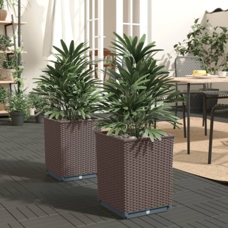 Jardinières 2 pcs marron 30x30x37 cm polypropylène 