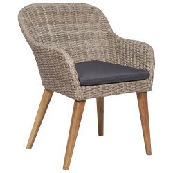 Chaises d'extérieur et coussins lot de 2 Résine tressée Marron 