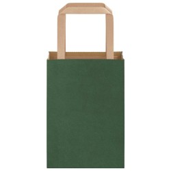 Sacs en papier 250 pcs avec poignées vert 15x8x21 cm 