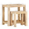 Tables d'appoint peintes à la main 2pcs Bois de Manguier solide 