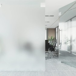 Films pour fenêtre dépoli blanc PVC 
