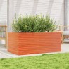 Jardinière cire marron 110x60x46 cm bois de pin massif 