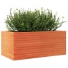 Jardinière cire marron 110x60x46 cm bois de pin massif 