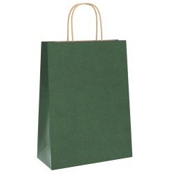 Sacs en papier 250 pcs avec poignées vert 26x12x35 cm 