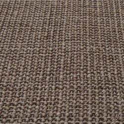 Tapis Sisal naturel 66x250 cm Marron 