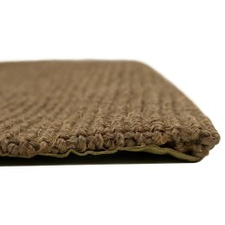 Tapis Sisal naturel 66x250 cm Marron 