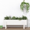 Lit surélevé de jardin blanc 101x30x38 cm bois de pin massif 
