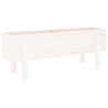 Lit surélevé de jardin blanc 101x30x38 cm bois de pin massif 