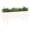 Lit surélevé de jardin blanc 101x30x38 cm bois de pin massif 