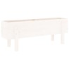 Lit surélevé de jardin blanc 101x30x38 cm bois de pin massif 