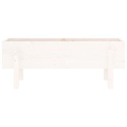 Lit surélevé de jardin blanc 101x30x38 cm bois de pin massif 