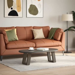 Pieds de table basse en U 2 pièces Acier naturel 30 x (30-31) cm Acier 