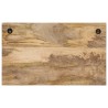 Porte-manteaux muraux et 4 crochets 2 pcs bois manguier massif 