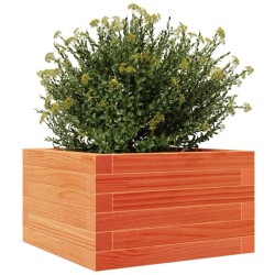 Jardinière cire marron 40x40x23 cm bois de pin massif 