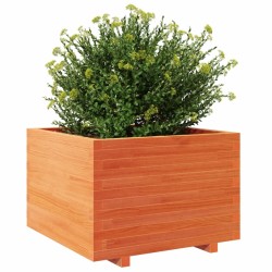 Jardinière cire marron 70x70x49,5 cm bois de pin massif 