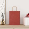 Sacs en papier 250 pcs avec poignées rouge 21x11x28 cm 