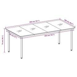 Table à dîner de jardin Noir 200x100x74 cm Acier et verre 