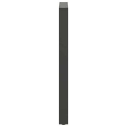 Pieds de table de bar Anthracite 2 pièces 60 x (100-101) cm Acier 