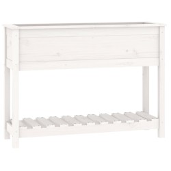 Jardinière et étagère Blanc 111,5x34,5x81 cm Bois massif de pin 