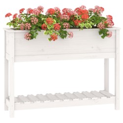 Jardinière et étagère Blanc 111,5x34,5x81 cm Bois massif de pin 