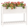 Jardinière et étagère Blanc 111,5x34,5x81 cm Bois massif de pin 