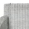 Chaise à manger avec coussin Gris Rotin naturel 