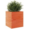 Jardinière cire marron 40x40x46 cm bois de pin massif 