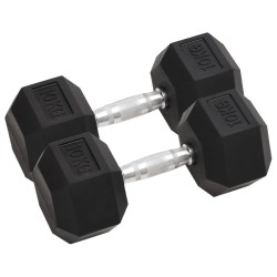 Haltères 2 pcs 20 kg Fonte 