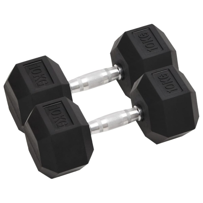 Haltères 2 pcs 20 kg Fonte 