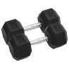 Haltères 2 pcs 20 kg Fonte 
