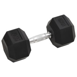 Haltères 2 pcs 20 kg Fonte 