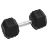 Haltères 2 pcs 20 kg Fonte 