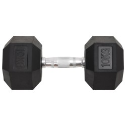 Haltères 2 pcs 20 kg Fonte 