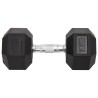 Haltères 2 pcs 20 kg Fonte 
