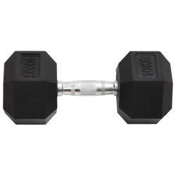 Haltères 2 pcs 20 kg Fonte 
