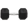 Haltères 2 pcs 20 kg Fonte 