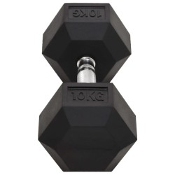 Haltères 2 pcs 20 kg Fonte 