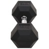 Haltères 2 pcs 20 kg Fonte 