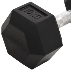 Haltères 2 pcs 20 kg Fonte 