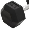 Haltères 2 pcs 20 kg Fonte 