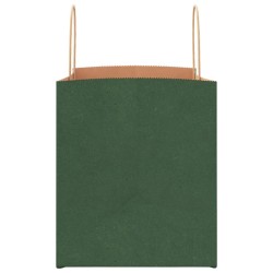 Sacs en papier 250 pcs avec poignées vert 32x22x24 cm 