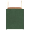 Sacs en papier 250 pcs avec poignées vert 32x22x24 cm 